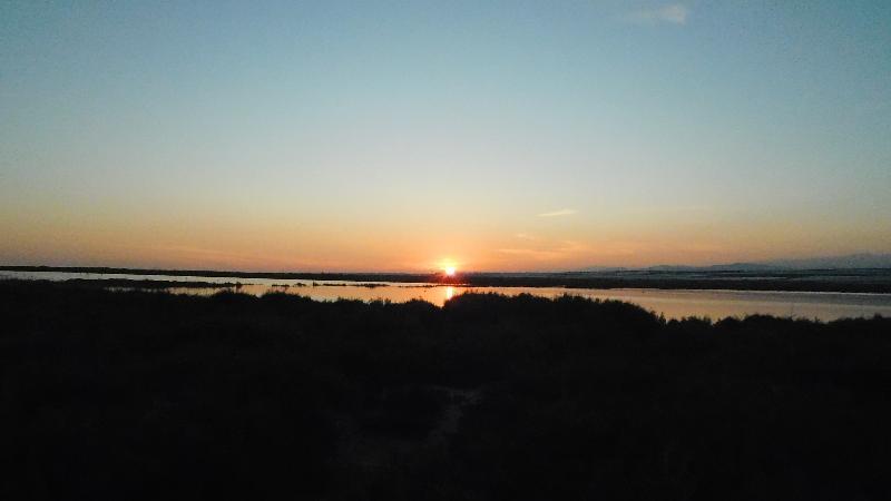Apartamentos Playamar Roquetas de Mar Zewnętrze zdjęcie